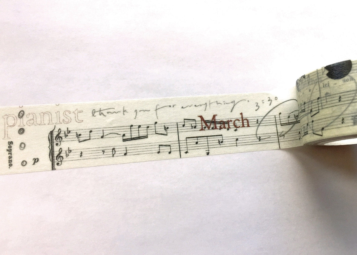 Mr. Eggplants - March washi tape (2.5 x 90 cm) SAMPLES