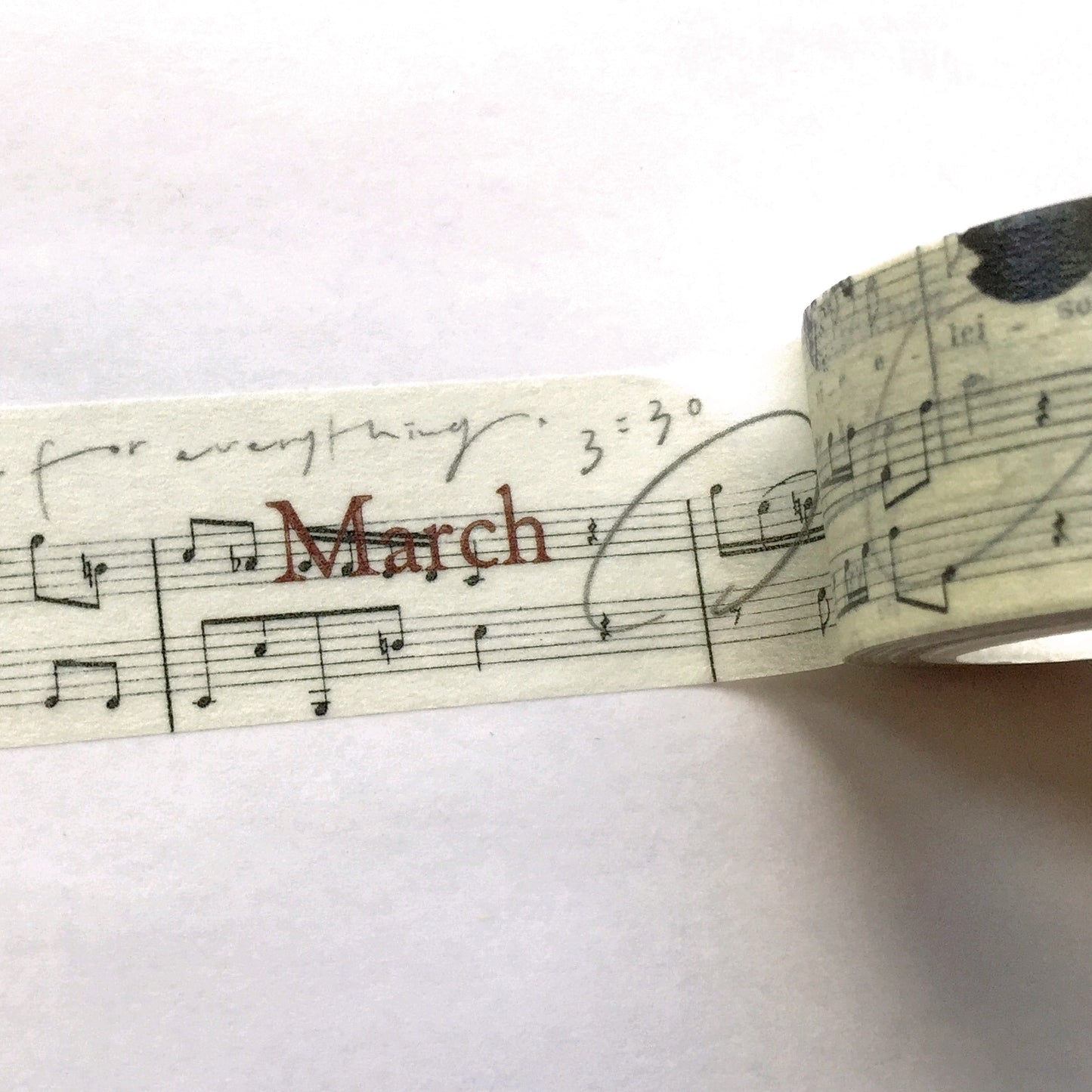 Mr. Eggplants - March washi tape (2.5 x 90 cm) SAMPLES