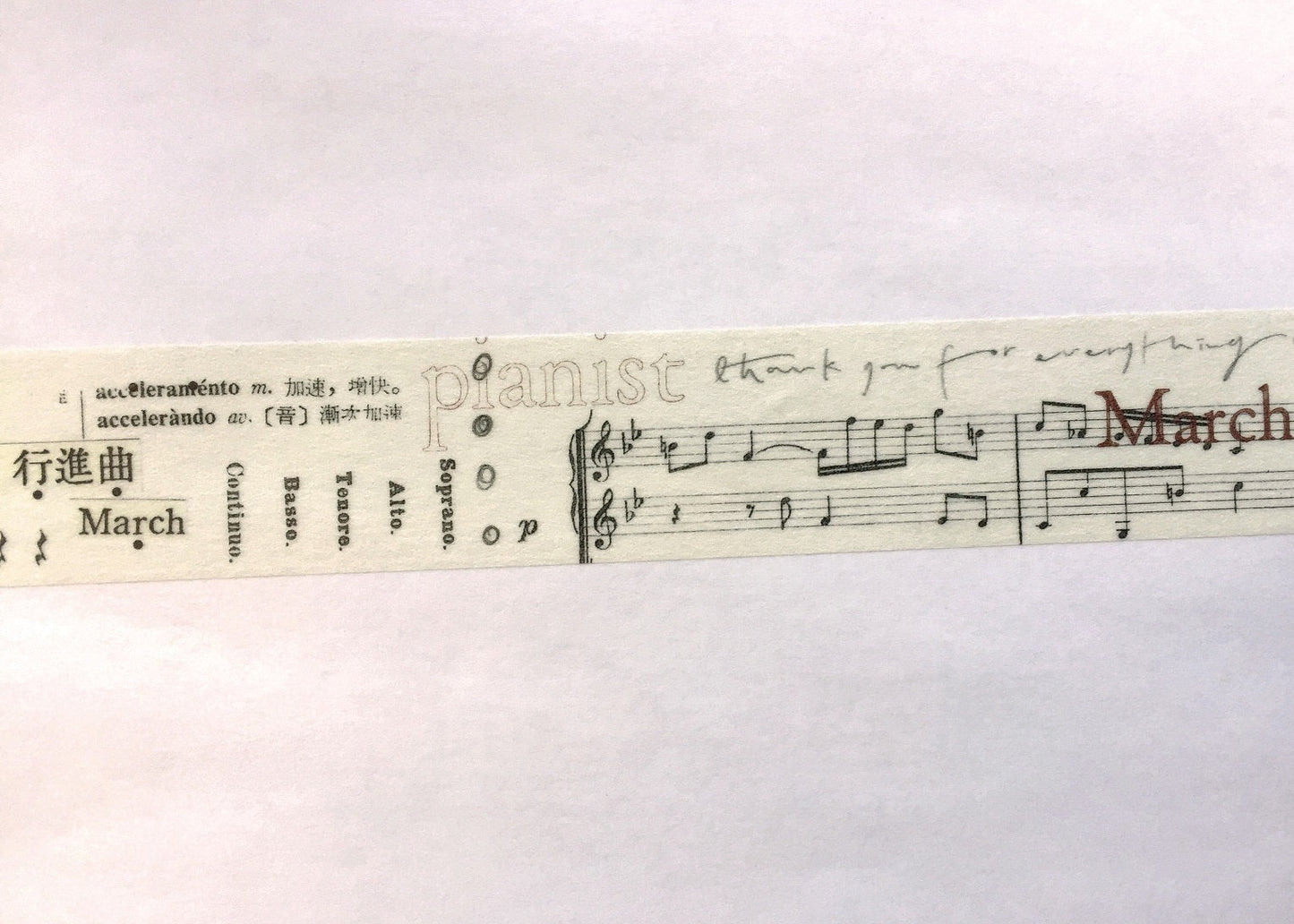Mr. Eggplants - March washi tape (2.5 x 90 cm) SAMPLES