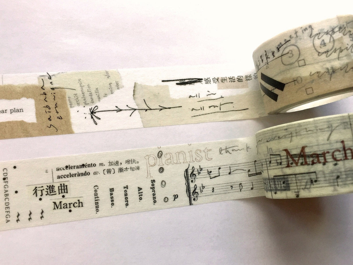 Mr. Eggplants - March washi tape (2.5 x 90 cm) SAMPLES