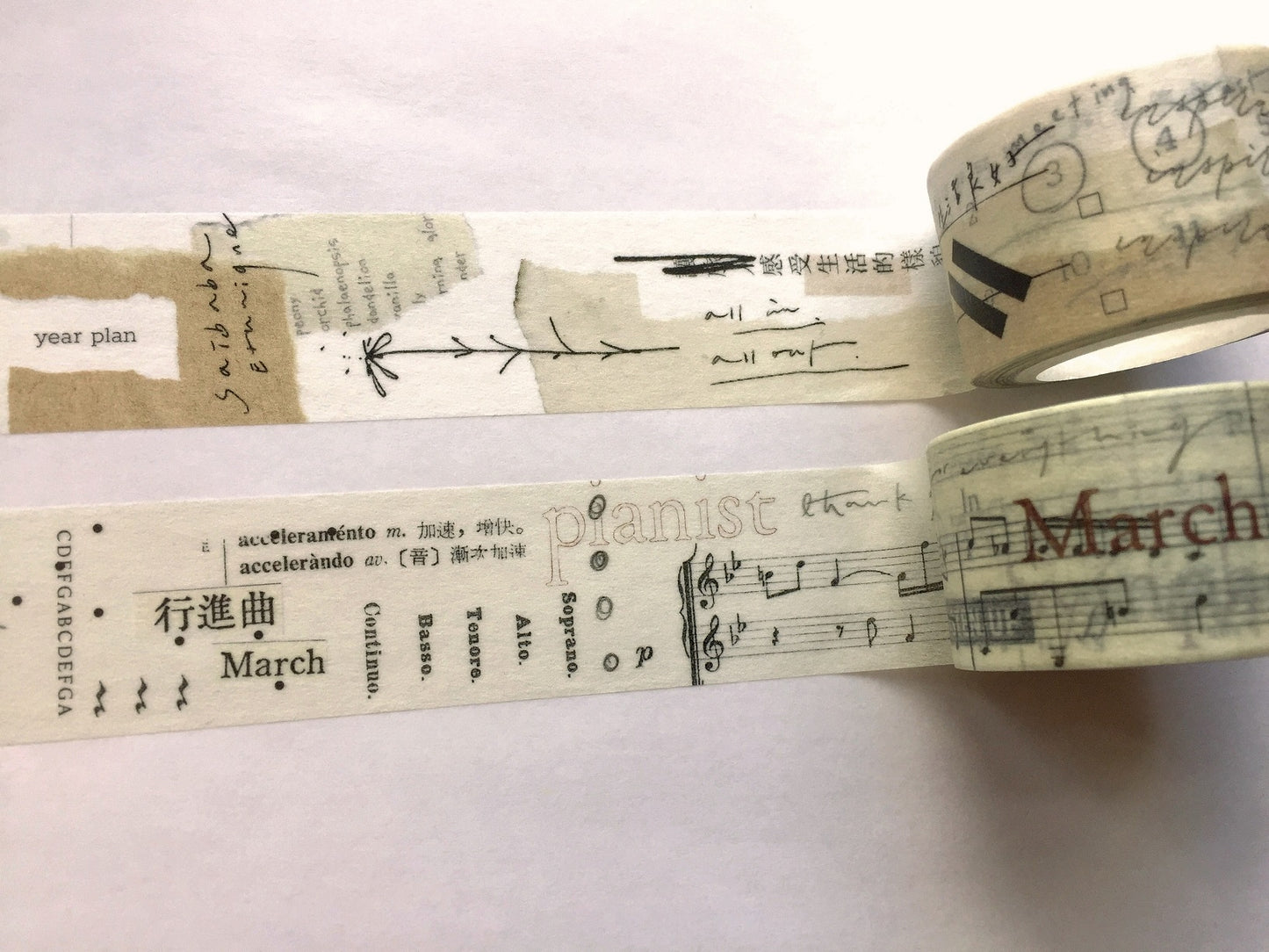 Mr. Eggplants - March washi tape (2.5 x 90 cm) SAMPLES