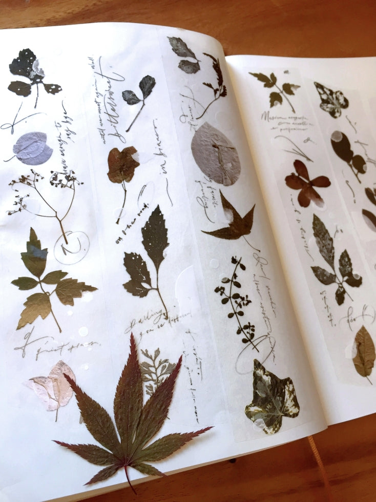 Mr. Eggplants - Old Leaves PET tape SAMPLES
