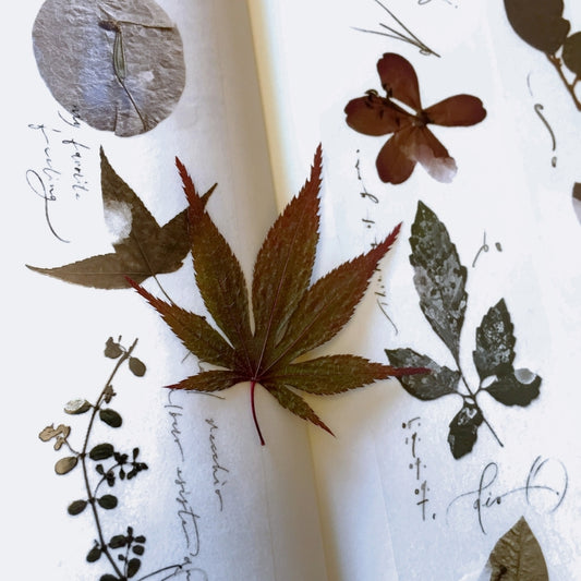 Mr. Eggplants - Old Leaves PET tape SAMPLES