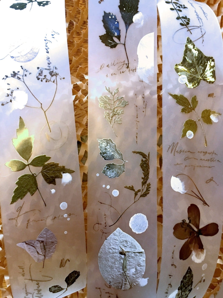 Mr. Eggplants - Old Leaves PET tape SAMPLES