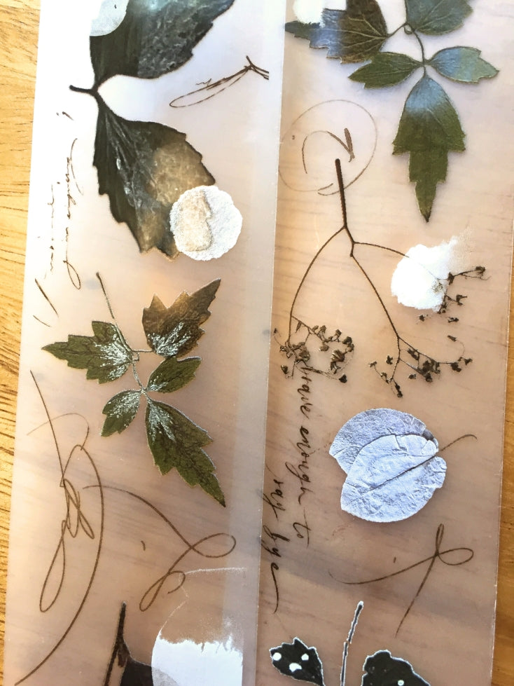 Mr. Eggplants - Old Leaves PET tape SAMPLES