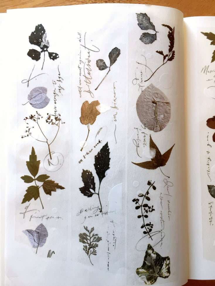 Mr. Eggplants - Old Leaves PET tape SAMPLES