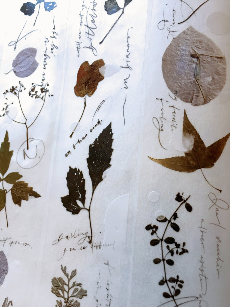 Mr. Eggplants - Old Leaves PET tape SAMPLES