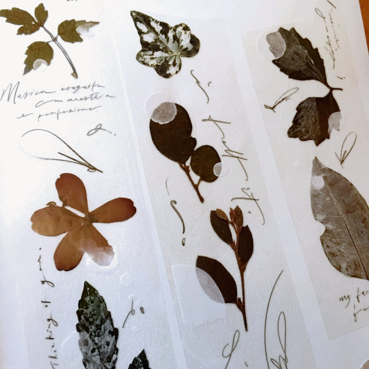 Mr. Eggplants - Old Leaves PET tape SAMPLES