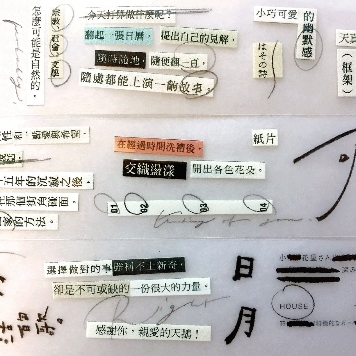 Mr. Eggplants - A Scrap of Paper PET tape SAMPLES