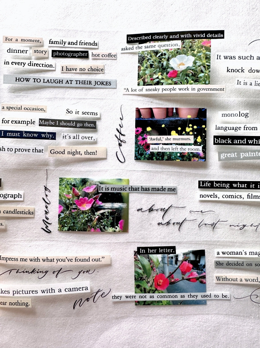 Mr. Eggplants - Monolog PET tape SAMPLES