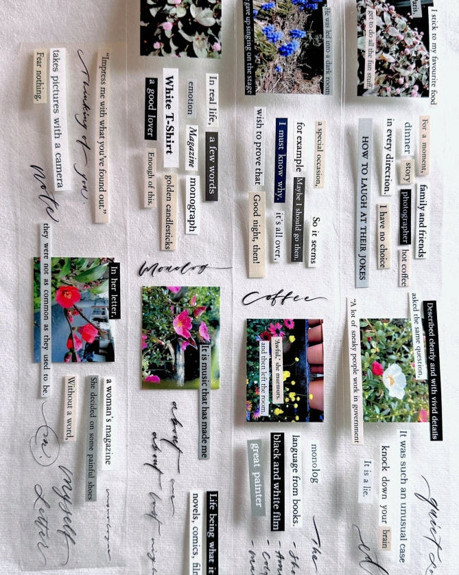 Mr. Eggplants - Monolog PET tape SAMPLES