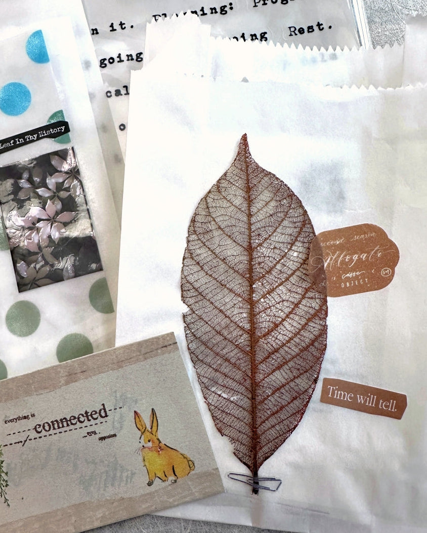 Mr. Eggplants - Private Journal die-cut washi sticker roll SAMPLES