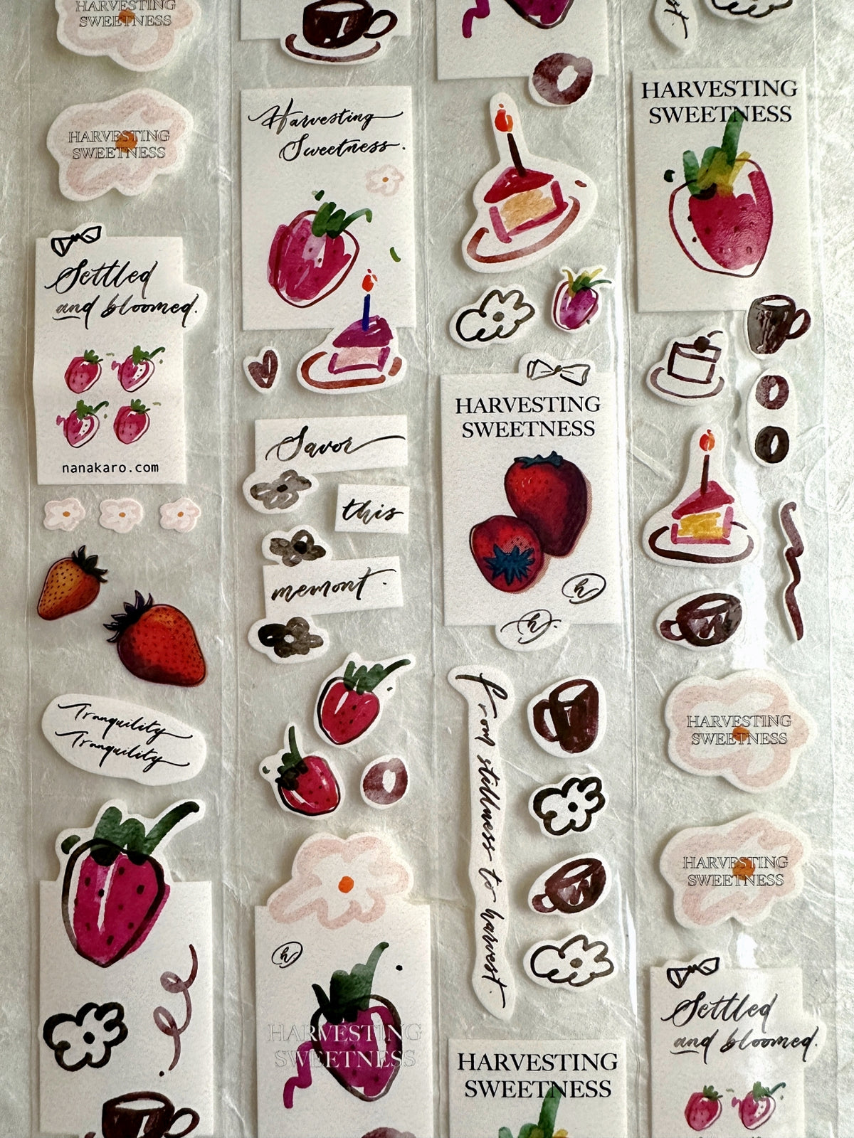 Mr. Eggplants - Harvesting Sweetness PET tape SAMPLES