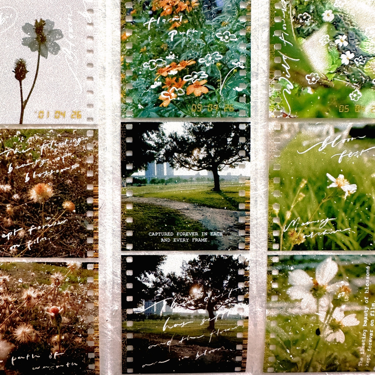 Mr. Eggplants - Hanami Film PET tape SAMPLES