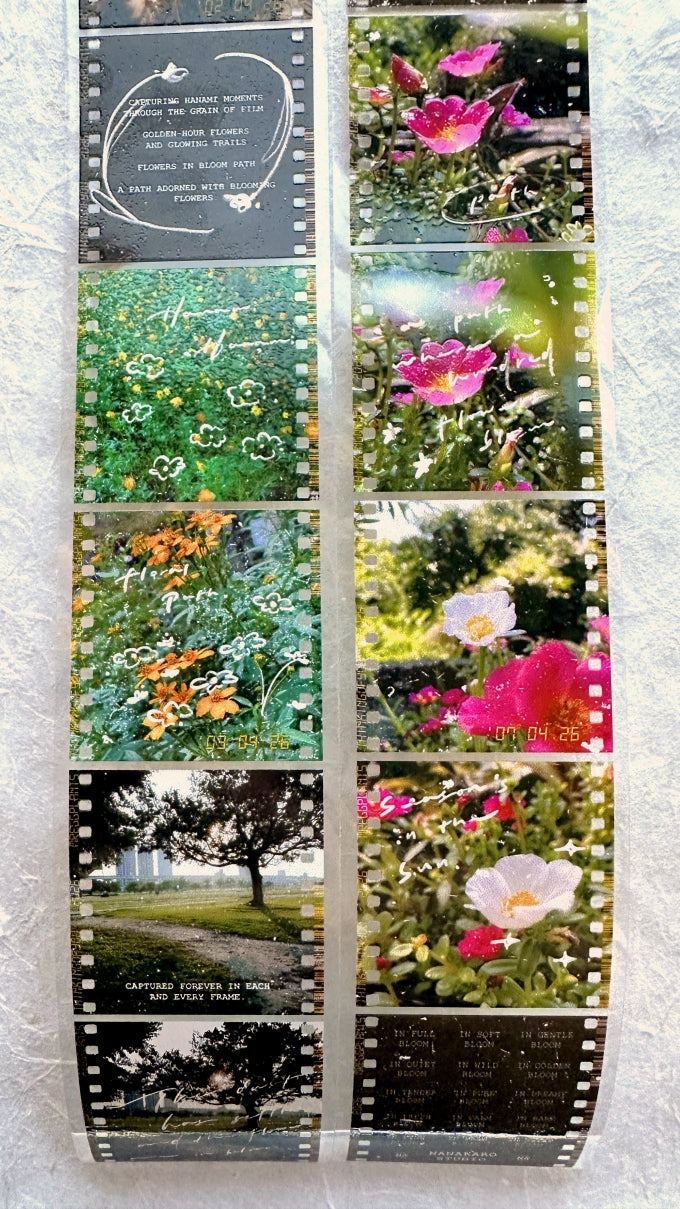 Mr. Eggplants - Hanami Film PET tape SAMPLES