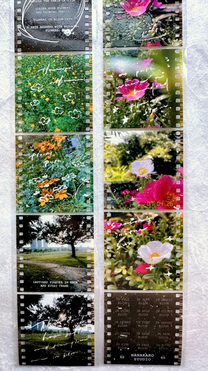 Mr. Eggplants - Hanami Film PET tape SAMPLES