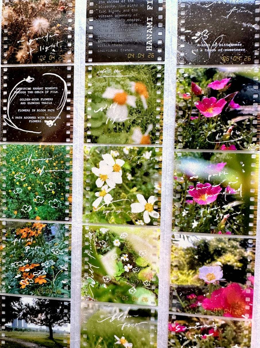 Mr. Eggplants - Hanami Film PET tape SAMPLES