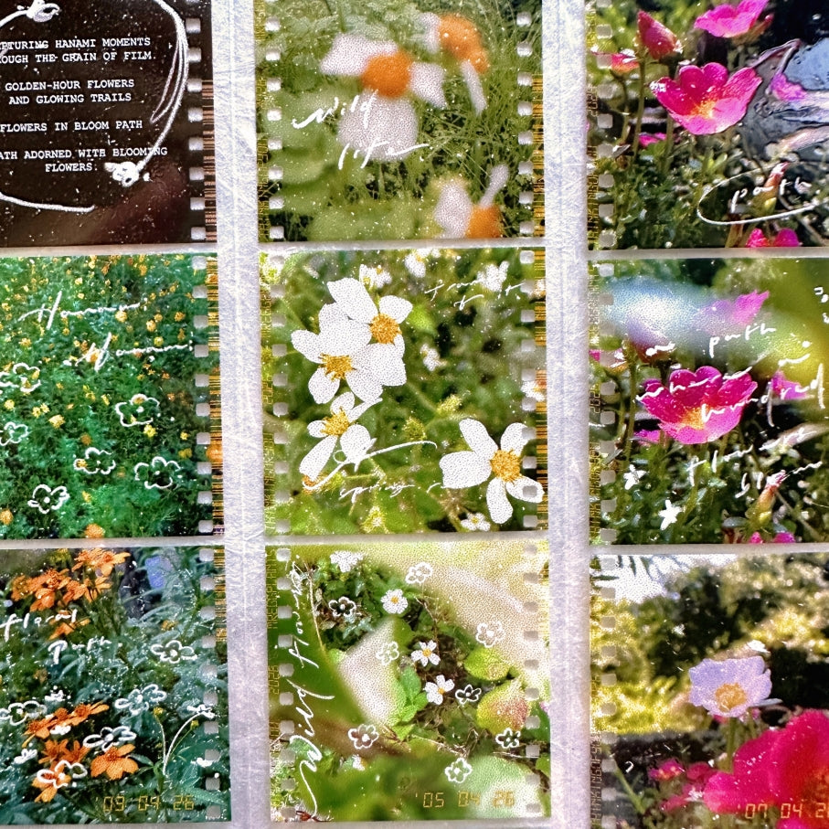 Mr. Eggplants - Hanami Film PET tape SAMPLES