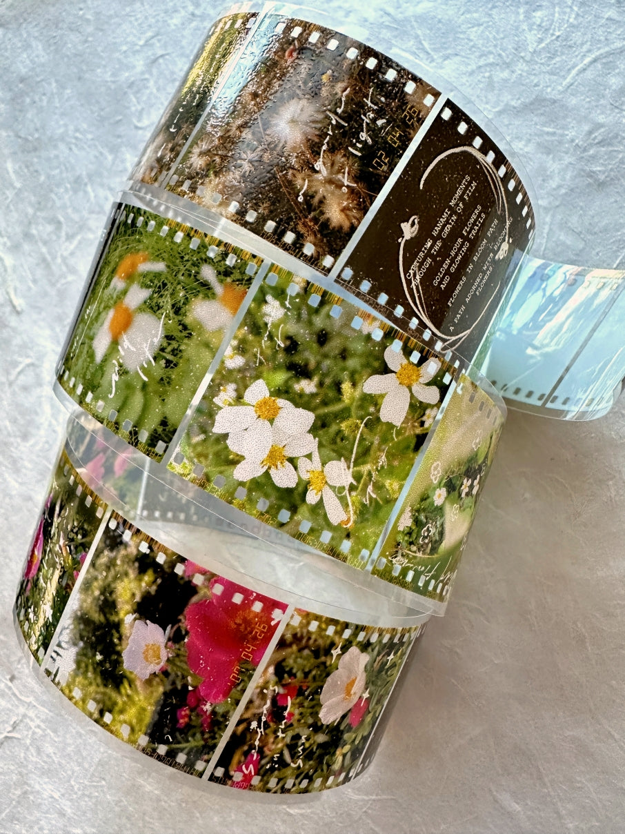 Mr. Eggplants - Hanami Film PET tape SAMPLES