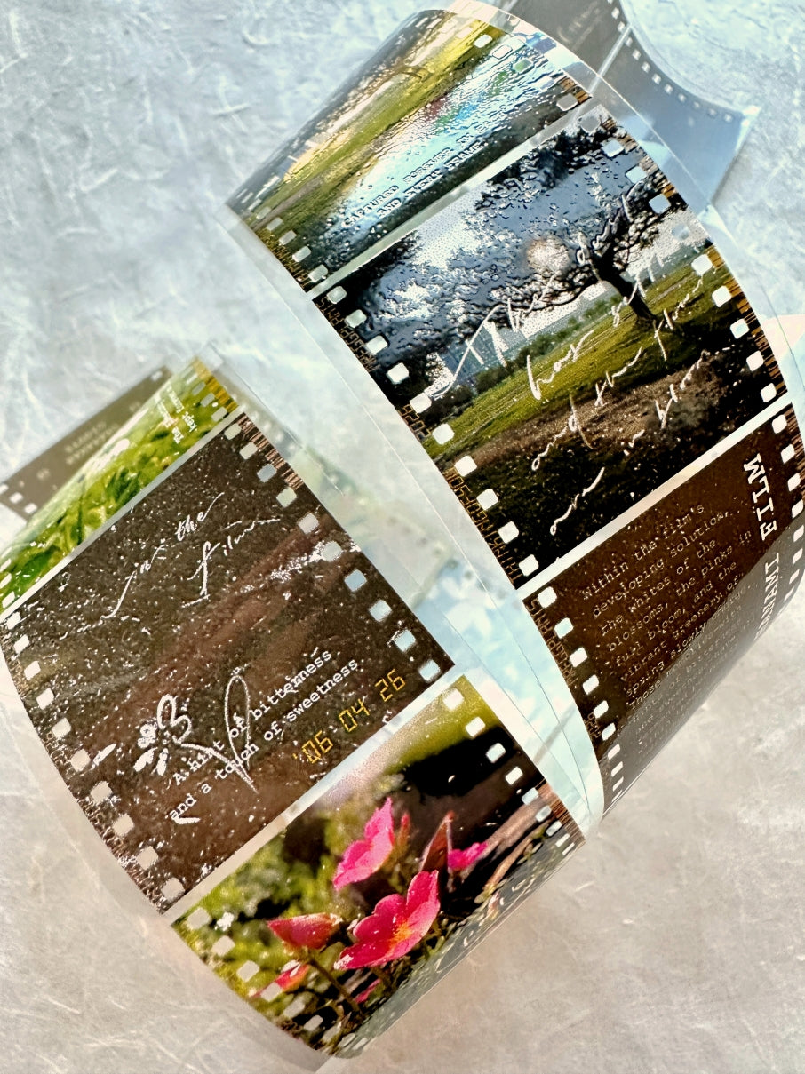 Mr. Eggplants - Hanami Film PET tape SAMPLES