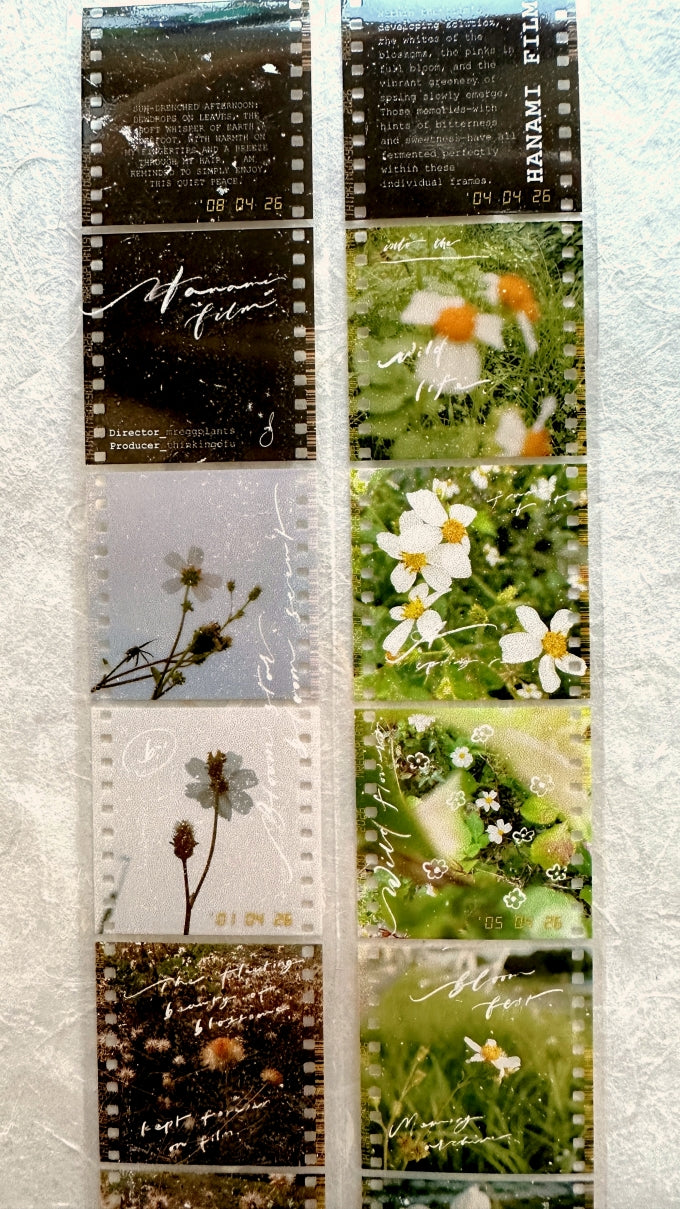 Mr. Eggplants - Hanami Film PET tape SAMPLES