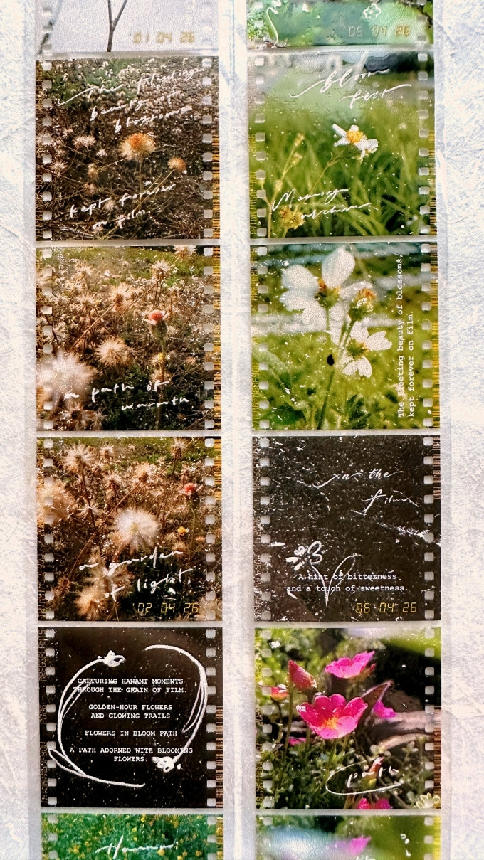 Mr. Eggplants - Hanami Film PET tape SAMPLES