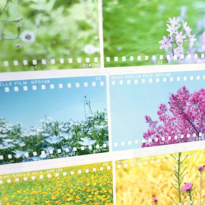 Miao Stelle - Spring Color PET tape SAMPLES