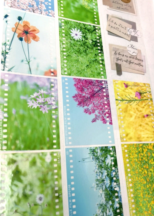 Miao Stelle - Spring Color PET tape SAMPLES