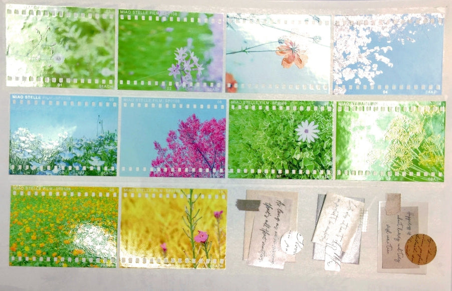 Miao Stelle - Spring Color PET tape SAMPLES