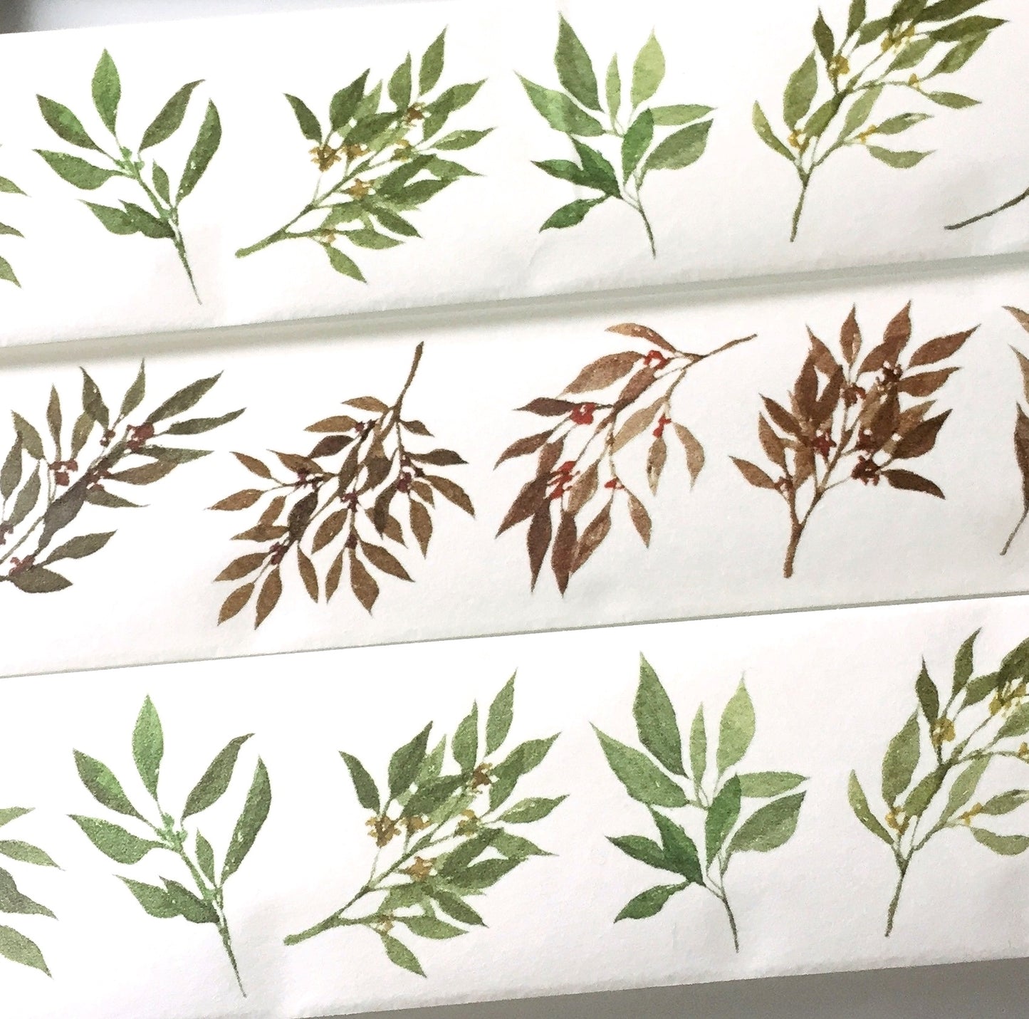 Modaizhi - Fruits & Leaves washi tape SAMPLES