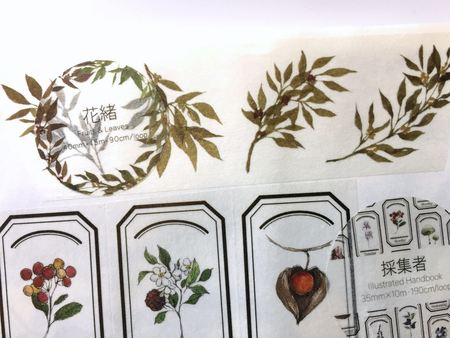 Modaizhi - Fruits & Leaves washi tape SAMPLES