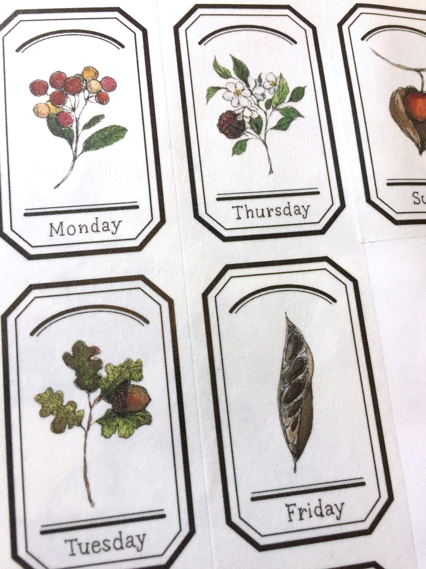 Modaizhi - Collection: Illustrated Handbook washi tape SAMPLES