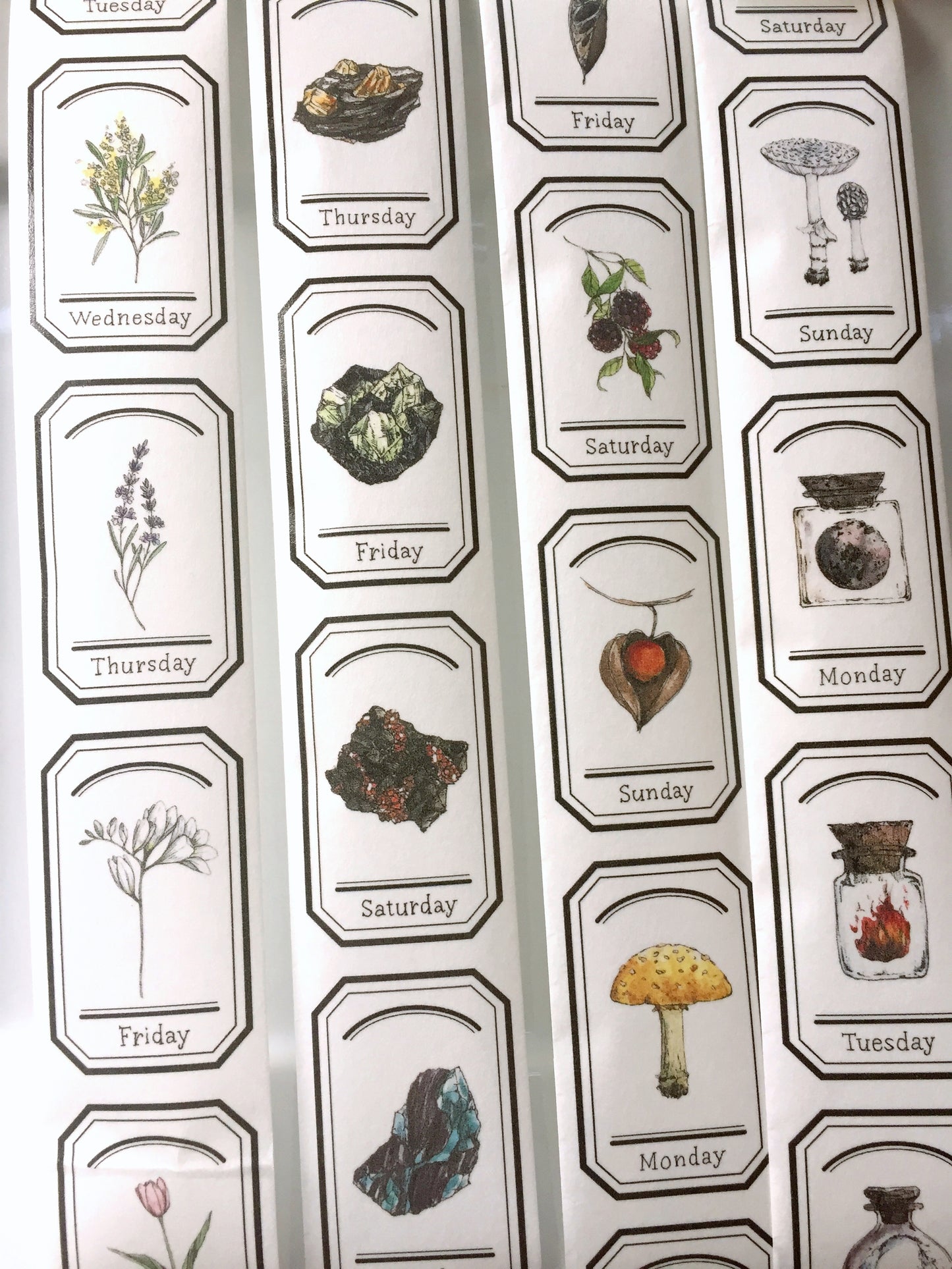 Modaizhi - Collection: Illustrated Handbook washi tape SAMPLES