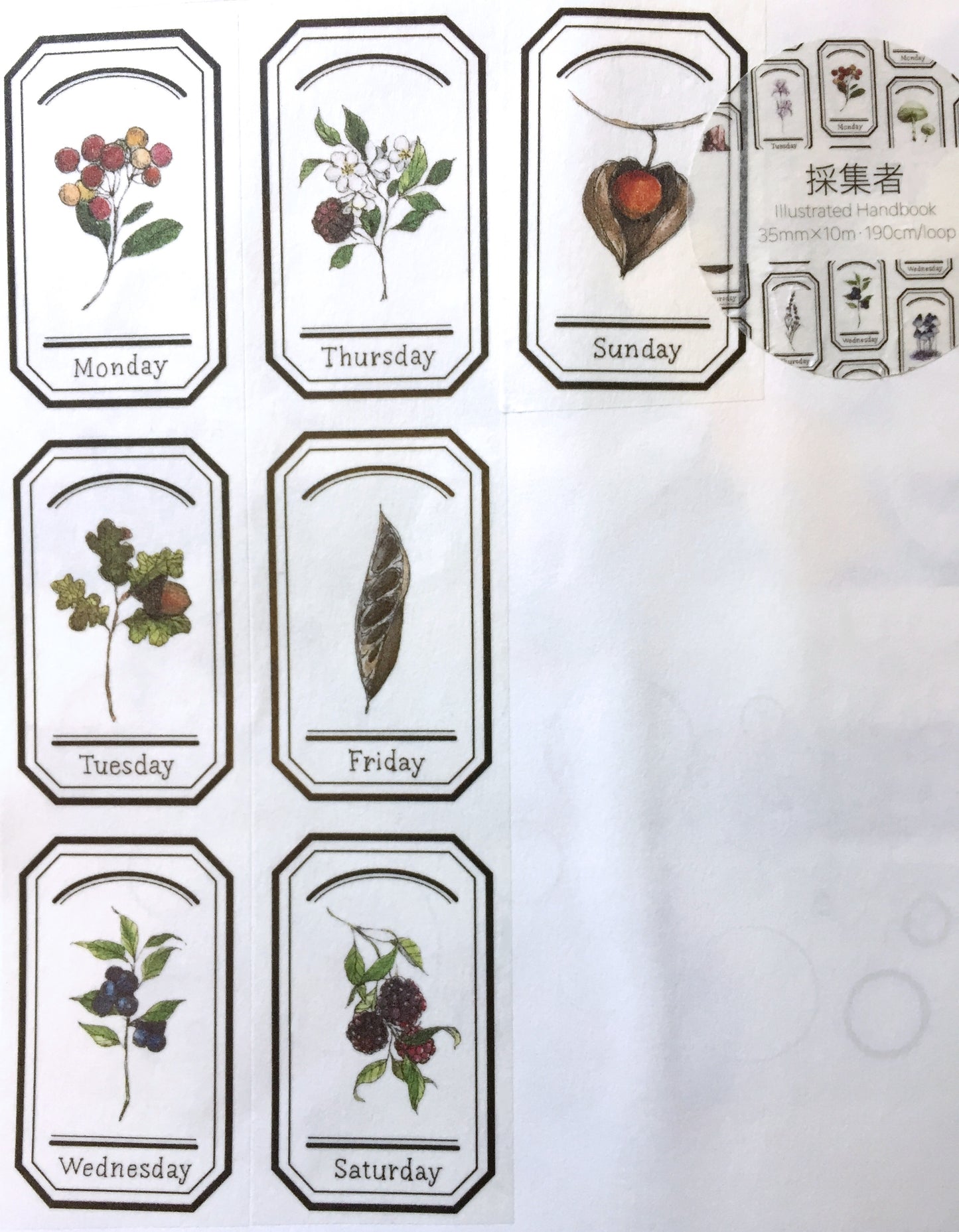 Modaizhi - Collection: Illustrated Handbook washi tape SAMPLES
