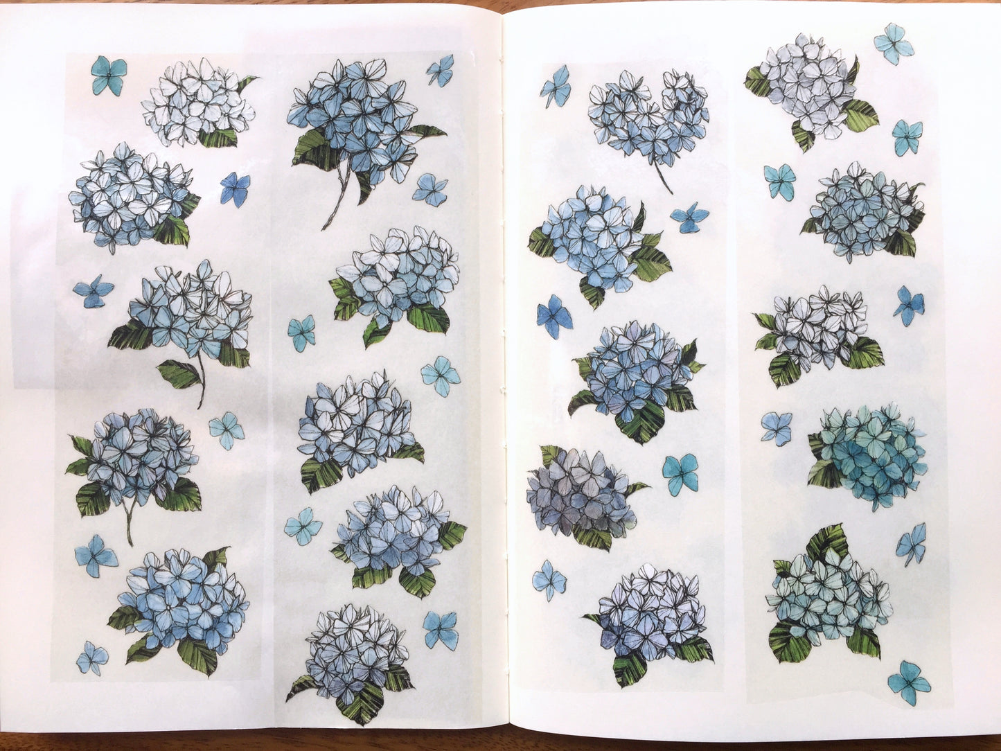 Modaizhi - Hydrangea PET tape SAMPLES