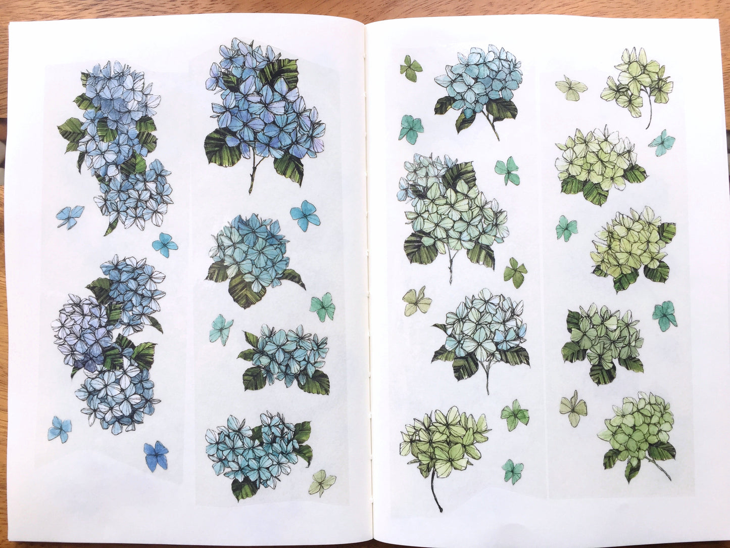 Modaizhi - Hydrangea PET tape SAMPLES