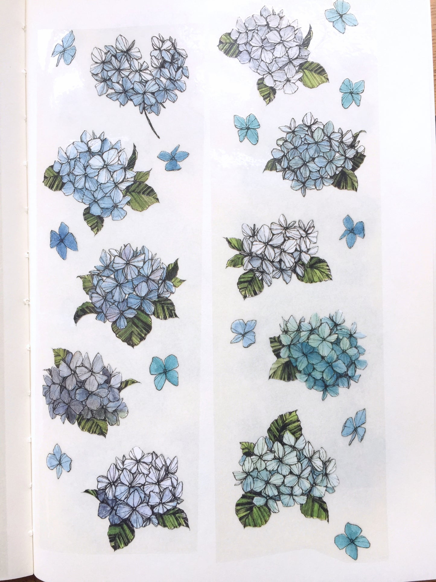 Modaizhi - Hydrangea PET tape SAMPLES
