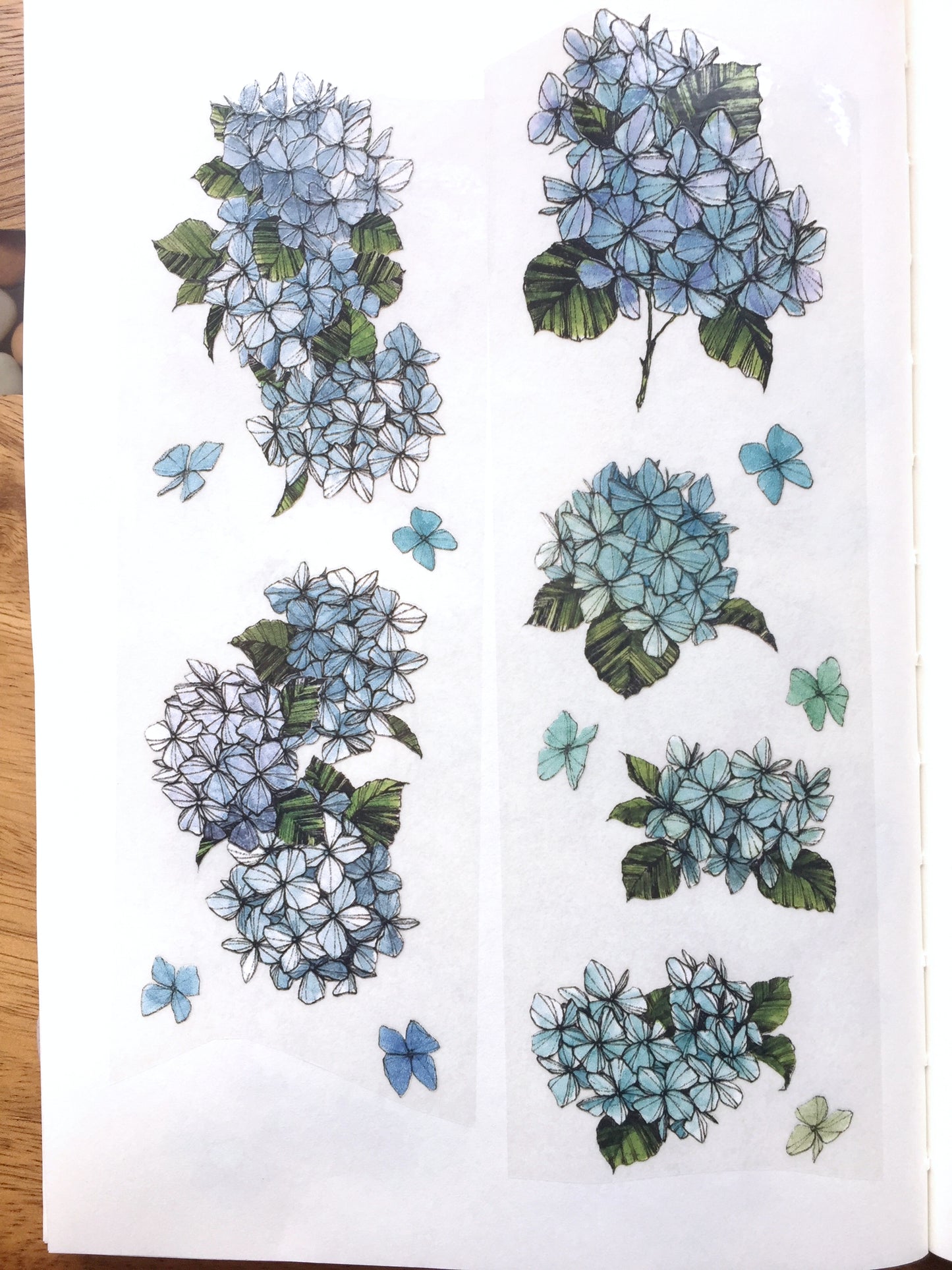 Modaizhi - Hydrangea PET tape SAMPLES