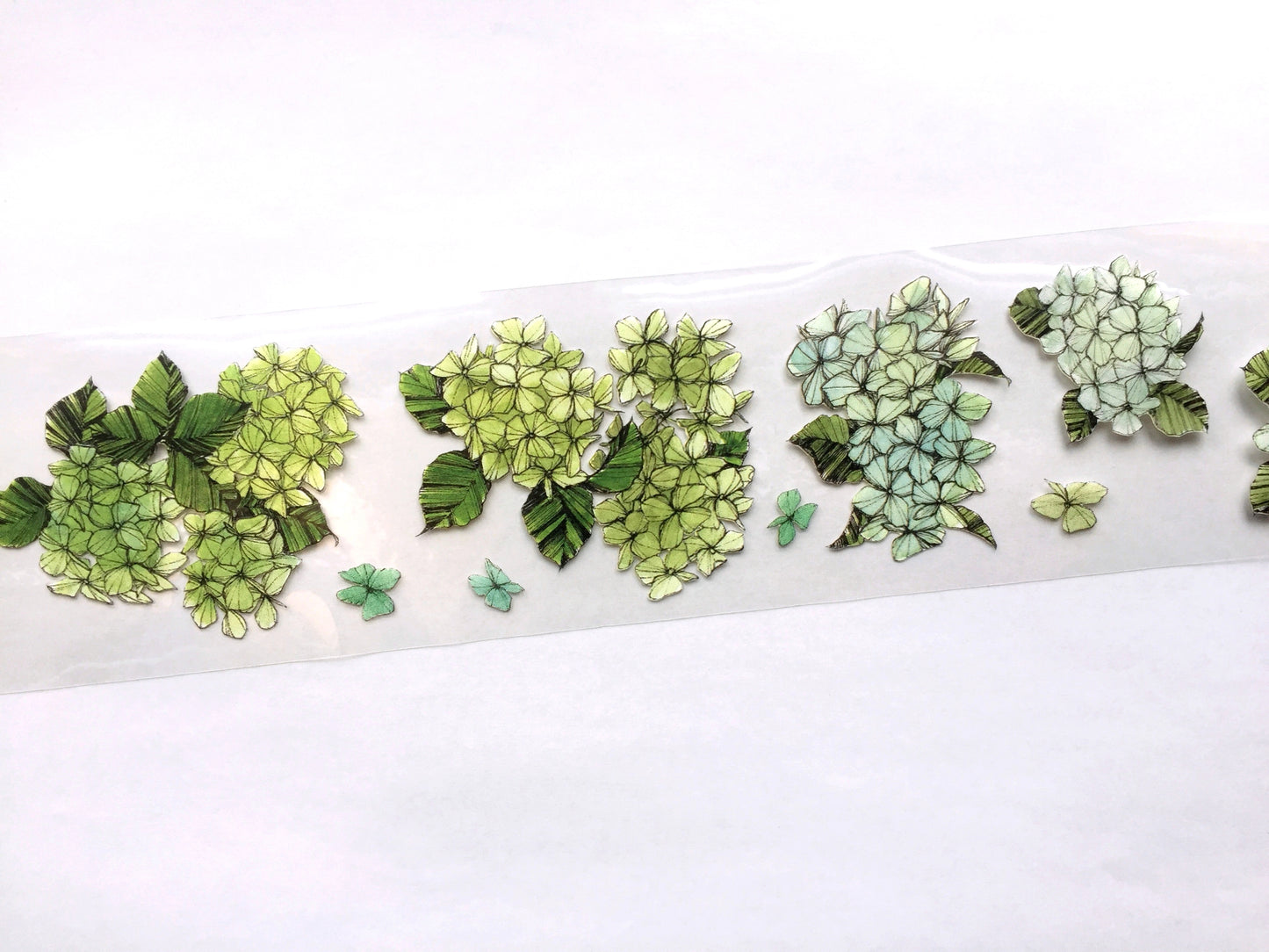 Modaizhi - Hydrangea PET tape SAMPLES