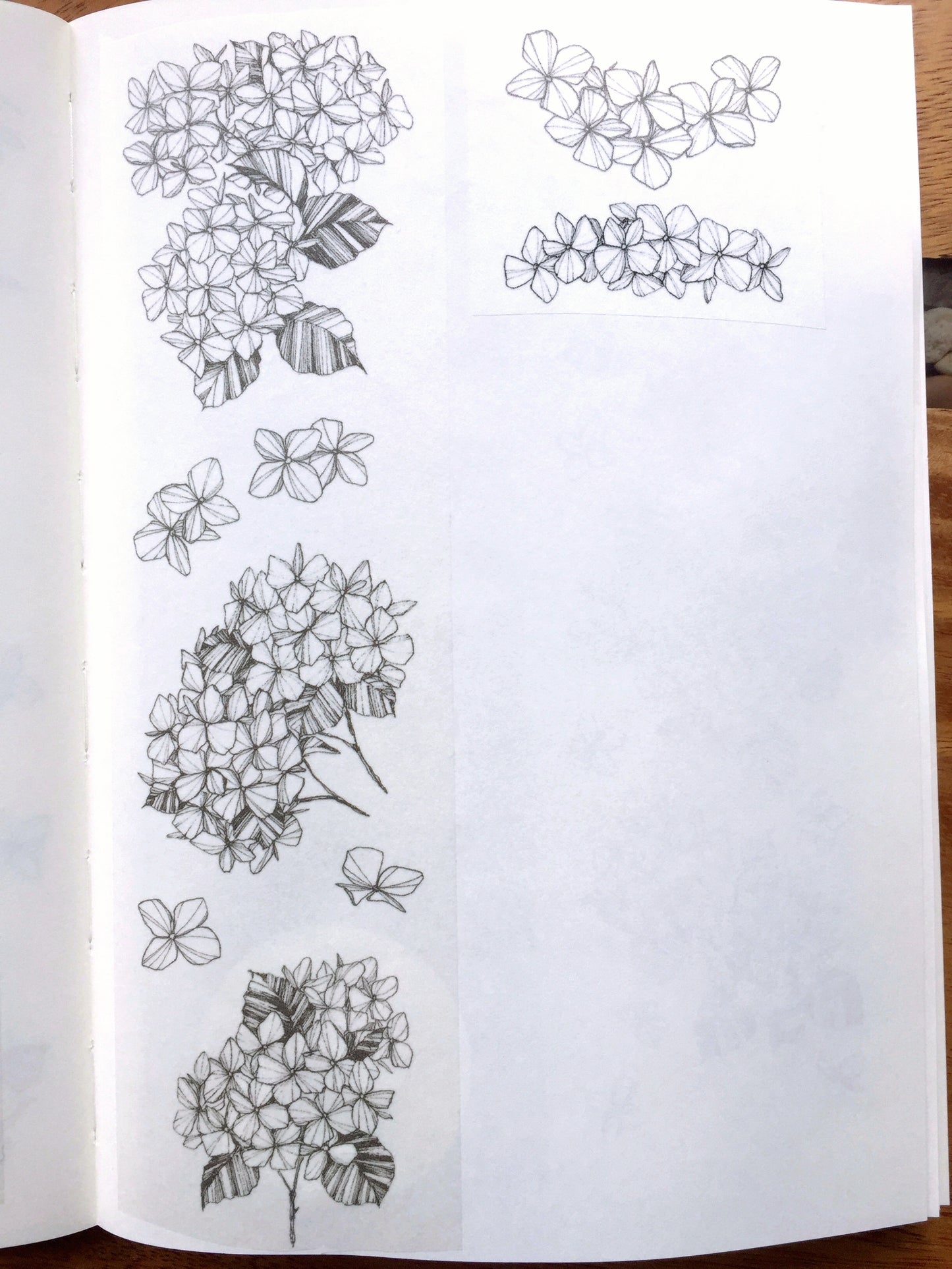 Modaizhi - Hydrangea Black & Brown washi tape SAMPLES
