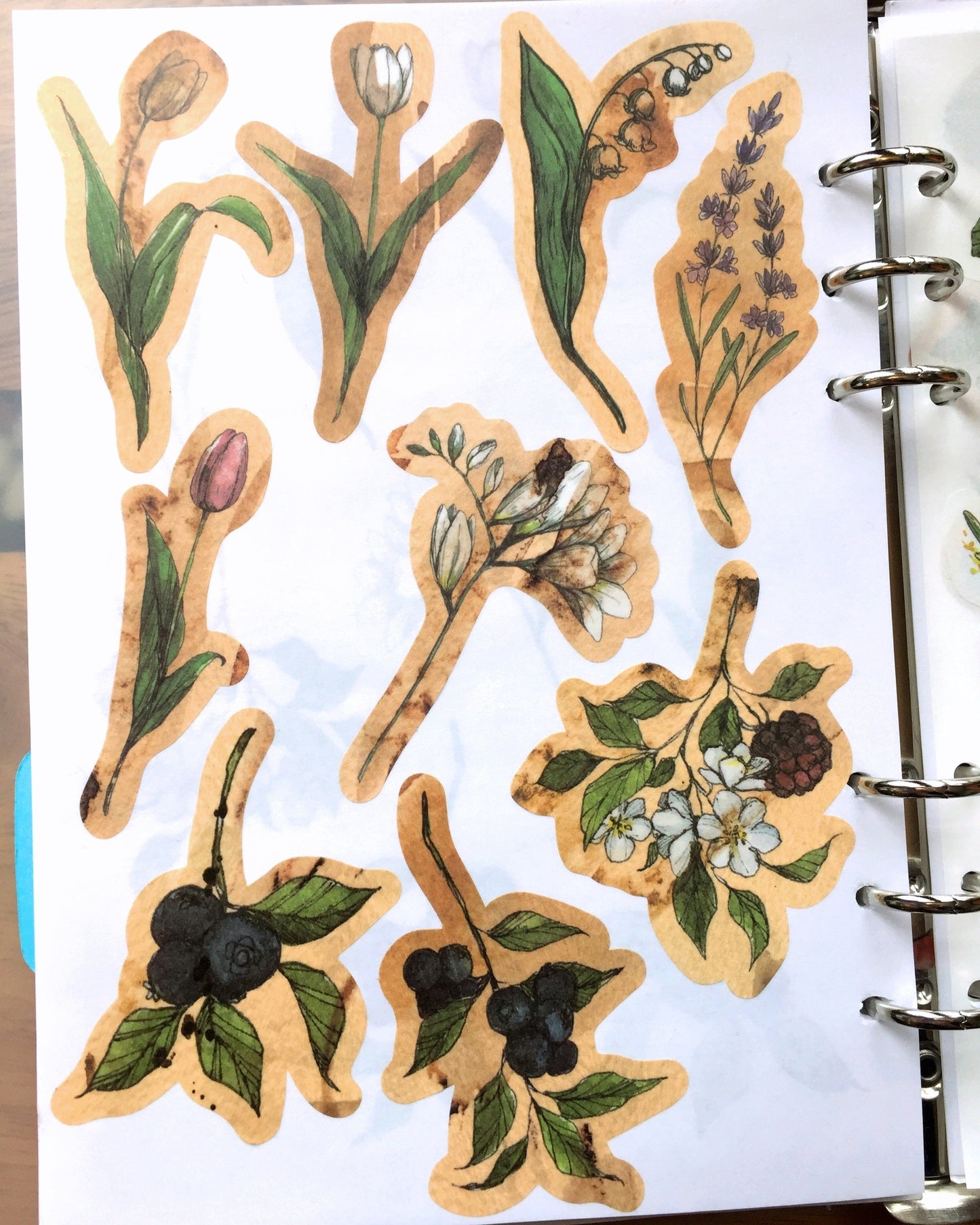 Modaizhi Collection Fruit/Flower flake sticker packs