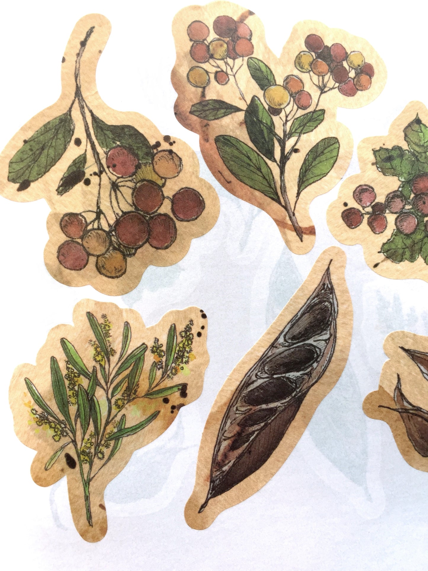 Modaizhi Collection Fruit/Flower flake sticker packs
