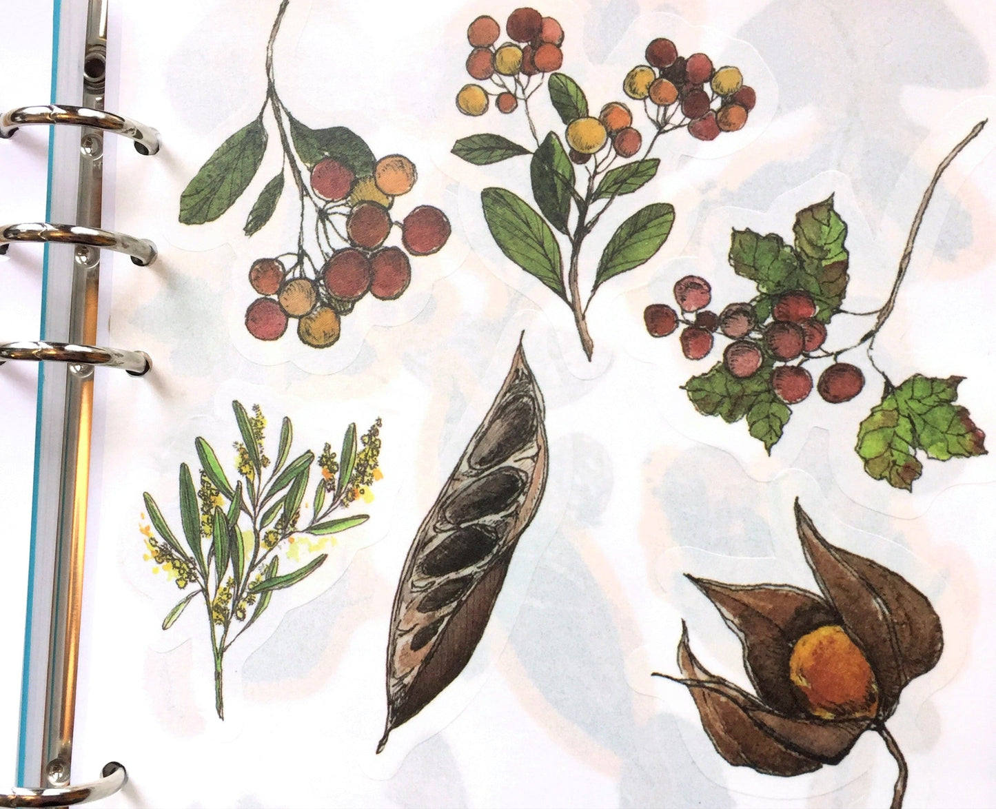Modaizhi Collection Fruit/Flower flake sticker packs