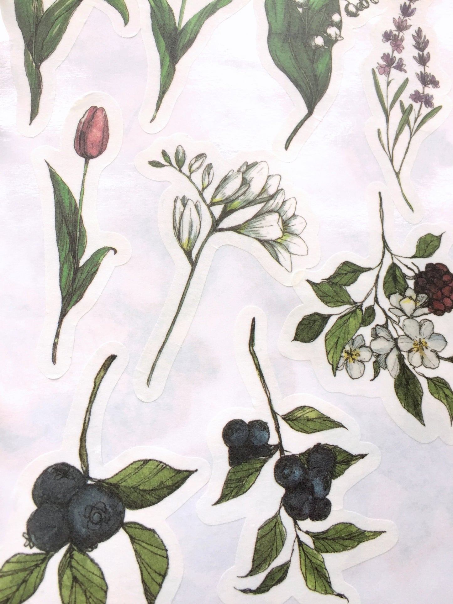 Modaizhi Collection Fruit/Flower flake sticker packs