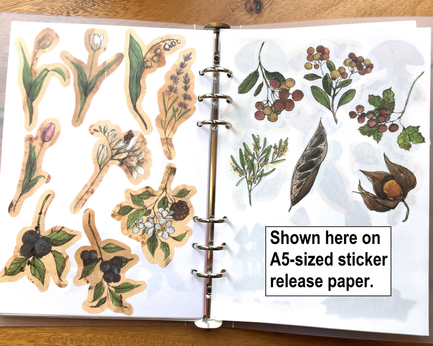 Modaizhi Collection Fruit/Flower flake sticker packs