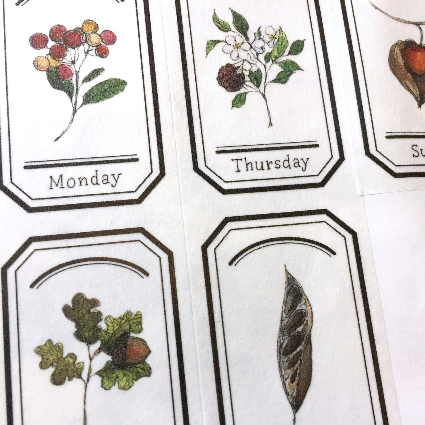 Modaizhi - Collection: Illustrated Handbook washi tape SAMPLES