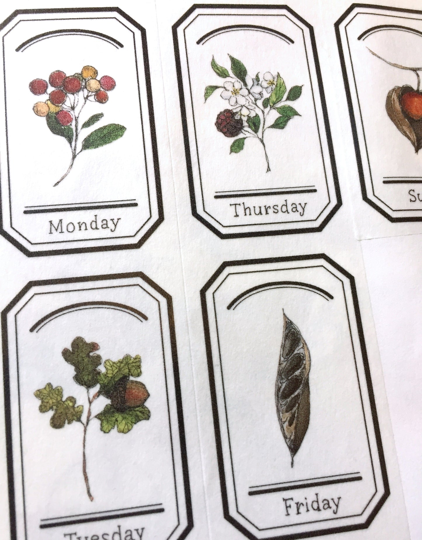 Modaizhi - Collection: Illustrated Handbook washi tape SAMPLES