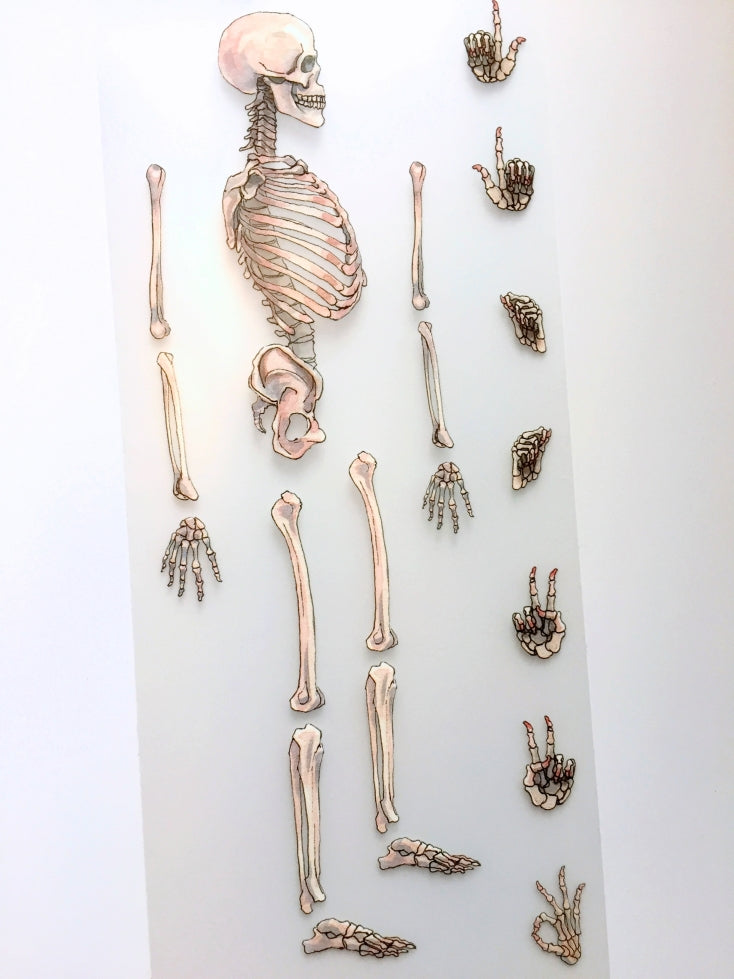 Monchiichen - Skeleton PET tape (9 cm x 135 cm) SAMPLES