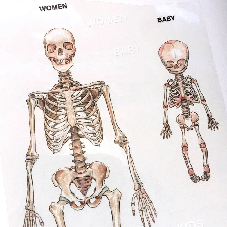 Monchiichen - Skeleton 2 PET tape (9 cm x 90 cm) SAMPLES