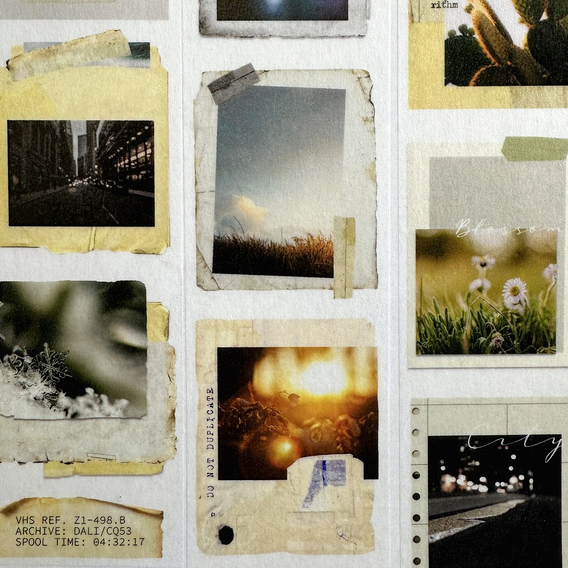 Moodtape - photo record washi tape SAMPLES